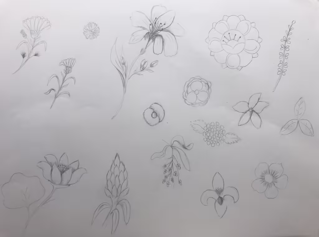Desenho e Ilustração (Drawing & Illustration)