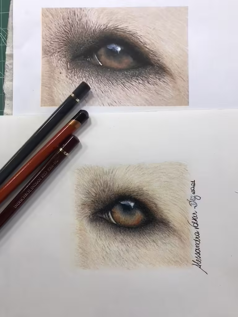 Lápis de Cor (Colored Pencils)