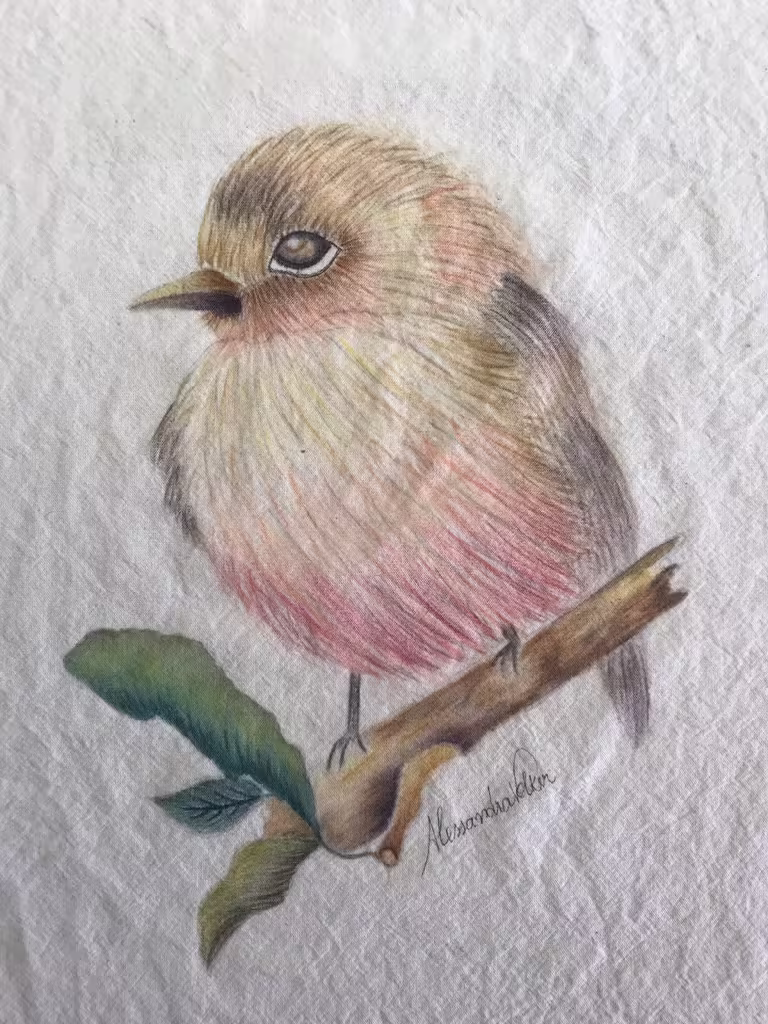 Inktense Pencils & Posca Markers on Fabric