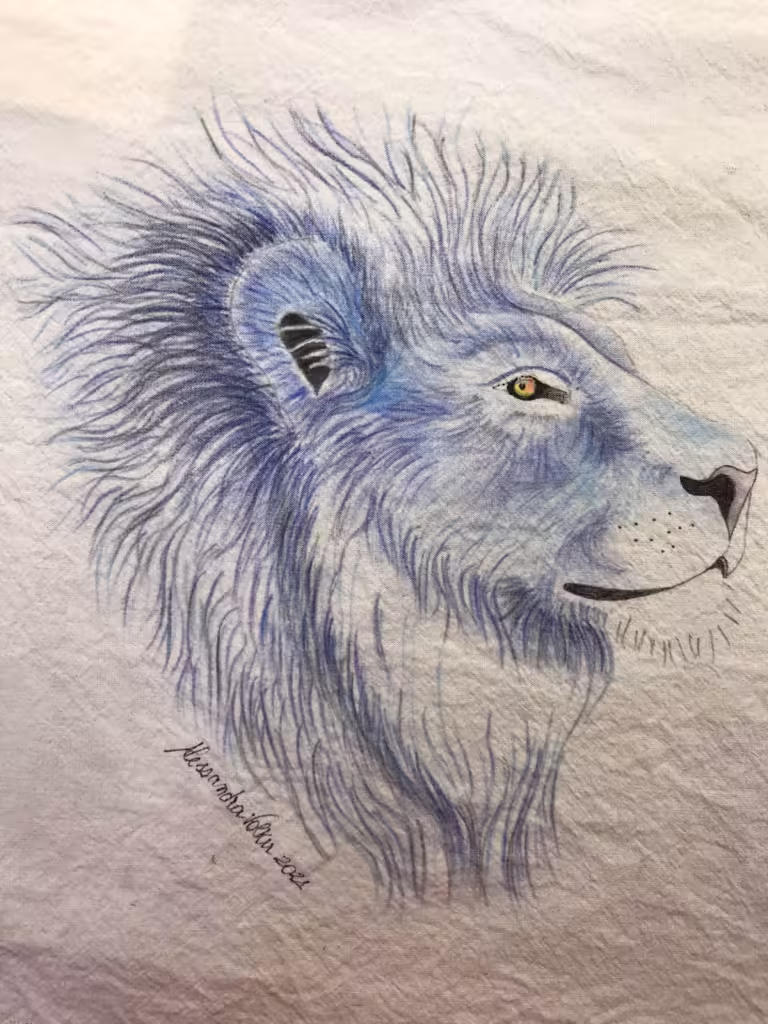 Inktense Pencils & Posca Markers on Fabric