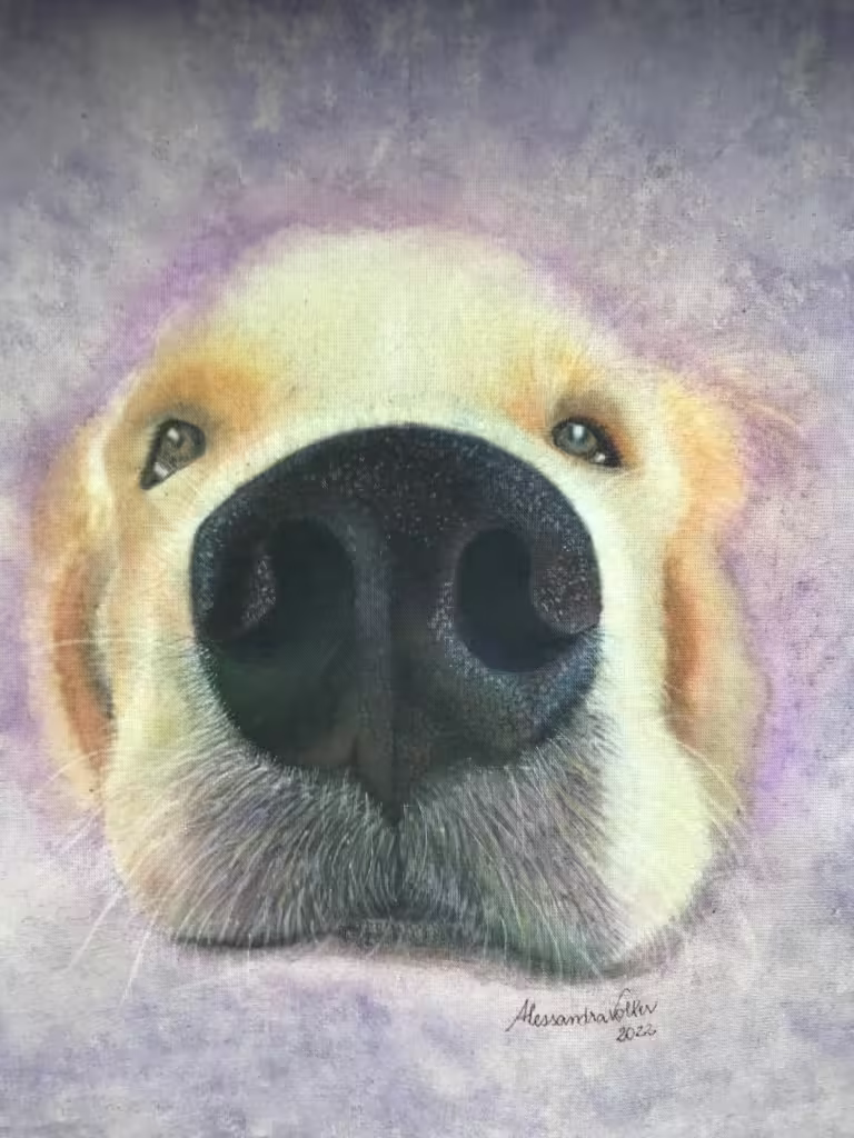 Inktense Pencils & Posca Markers on Fabric
