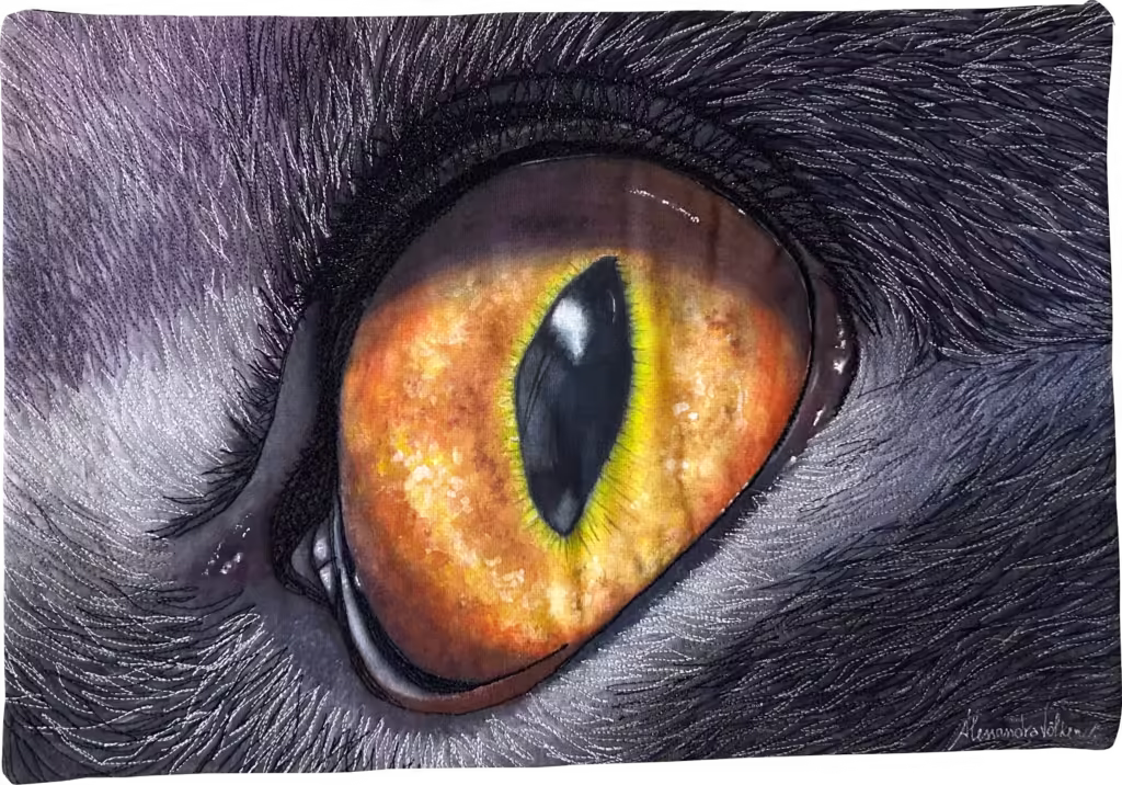 Inktense Pencils & Posca Markers on Fabric
