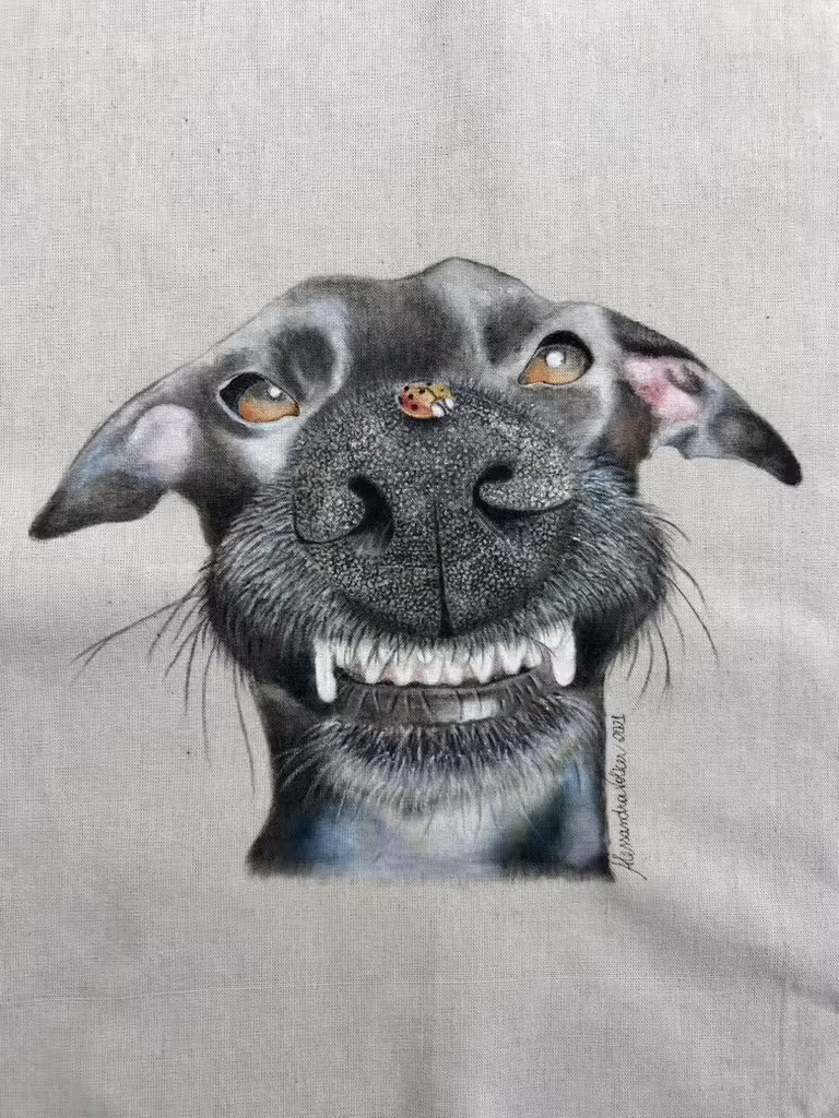 Inktense Pencils & Posca Markers on Fabric